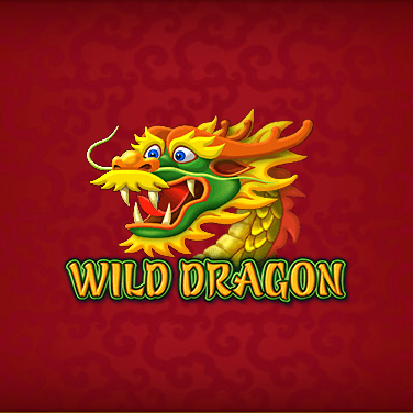 Wild Dragon от Amatic